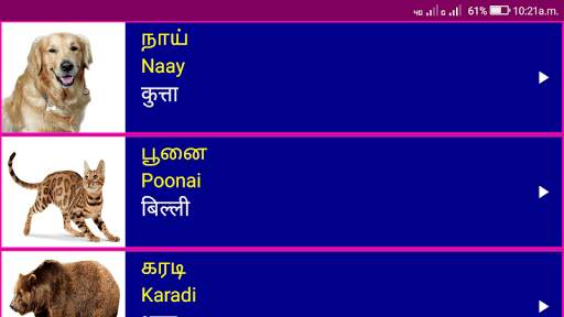 Learn Tamil From Hindi screenshot 12