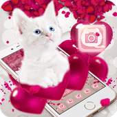 Pink Balloon Lovely Cat Theme 1.1.3