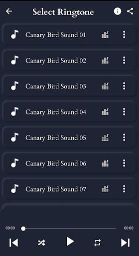 Canary Bird Sounds screenshot 3