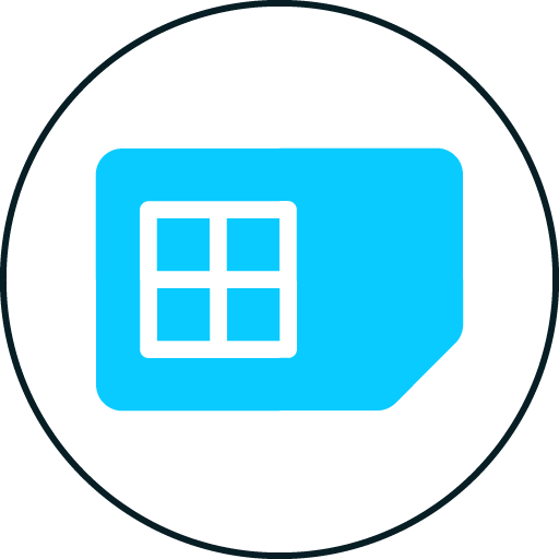 Sim Verification icon