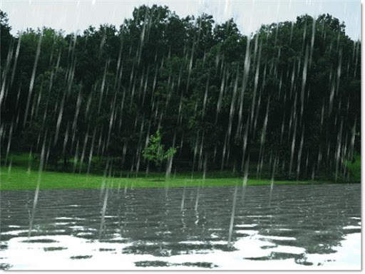 Rain Live Wallpaper screenshot 1