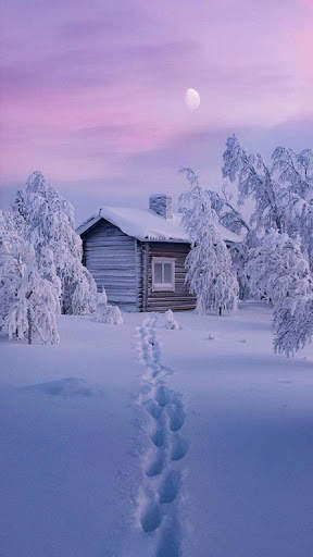Winter Wallpapers screenshot 6