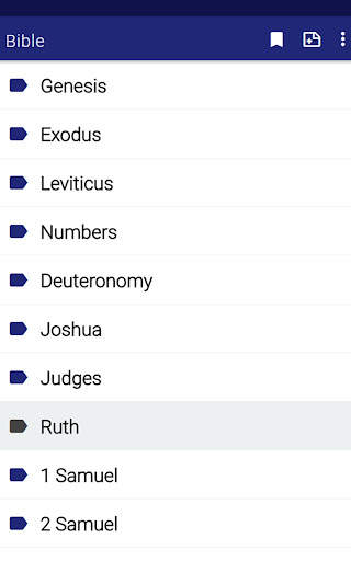 KJV Bible offline in english screenshot 18