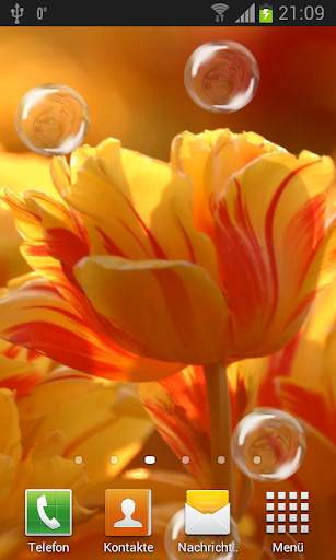 Tulips live wallpaper screenshot 1
