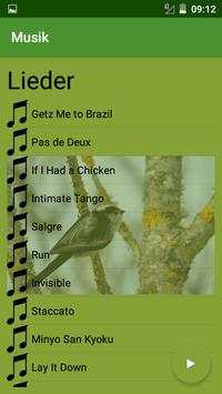 Musik screenshot 3