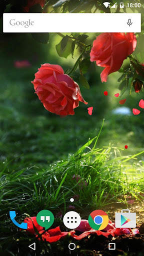 Red Rose Flower Live Wallpaper screenshot 7