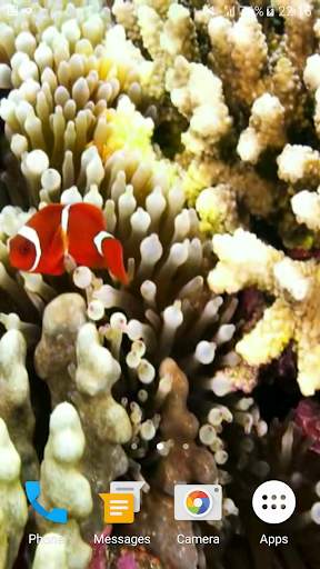 Sea Life 3D Video Wallpaper screenshot 5