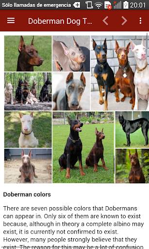 Doberman Dog Training screenshot 5