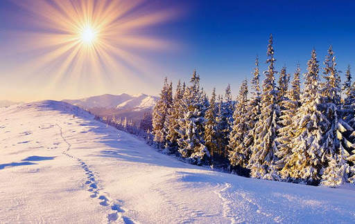 Winter Live Wallpaper screenshot 6