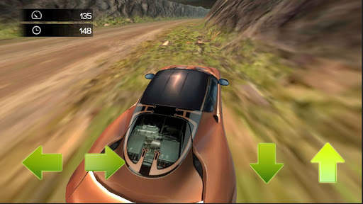 Rally School Racing screenshot 3
