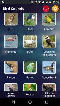 Bird Sounds screenshot 5