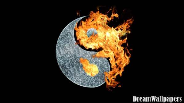 Yin Yang Wallpaper screenshot 3