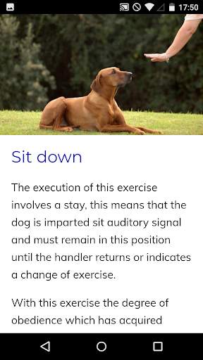 Canine Training Course screenshot 3