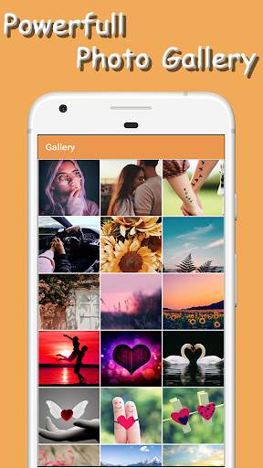 Gallery screenshot 3