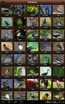 Bird Sounds, Calls, Songs & Ringtones screenshot 10