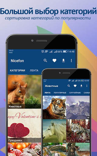 Обои и картинки от Nicefon. 20 screenshot 2