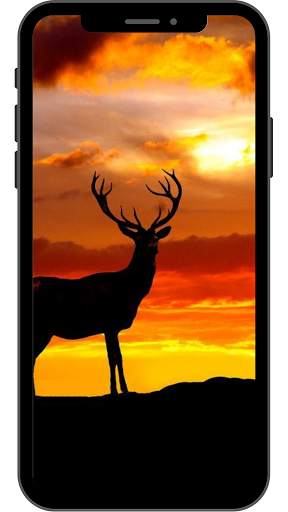 Sunset Wallpaper for Android 4K HD screenshot 7