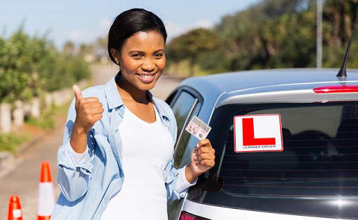 Lana`s Driving School screenshot 2