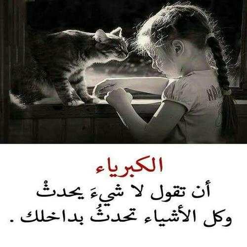 كلمات تهز القلوب 2 تصوير الشاشة