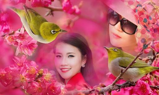 Birds Mulit Photo Frame screenshot 4