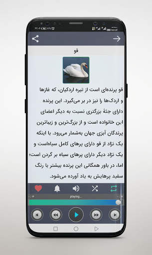 صدای پرندگان و حیوانات screenshot 4