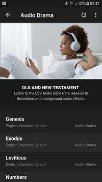 English Audio Bible (ESV) screenshot 5