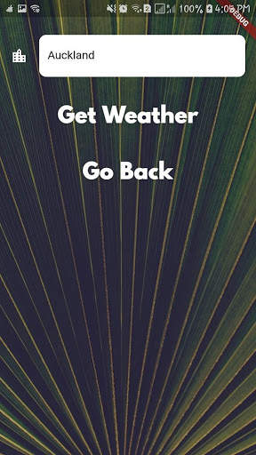 City Weather screenshot 1