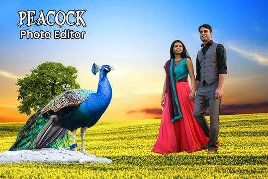 Peacock Photo Editor screenshot 6