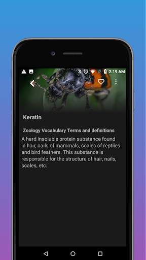 Smart Study tips and techniques guide offline screenshot 5