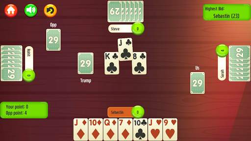 29 Card Game * PLUS screenshot 1