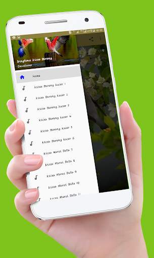 Birds Sounds Ringtones screenshot 2