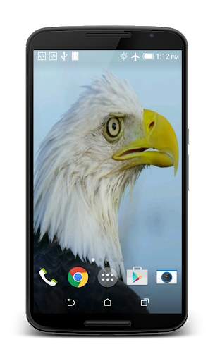 USA Eagle Live Wallpaper screenshot 2