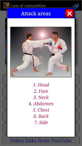Karate in brief screenshot 6