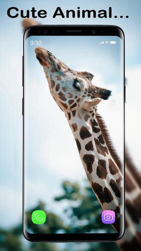 Cute Animal APUS Live Wallpaper screenshot 1