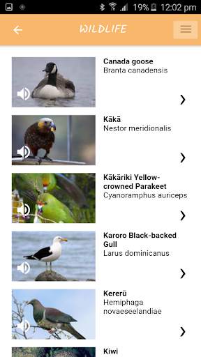 Abel Tasman screenshot 4