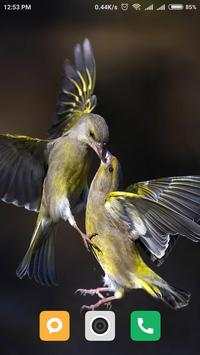 Bird wallpaper screenshot 12