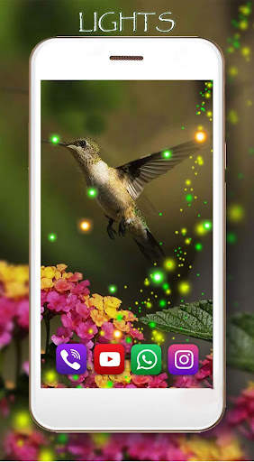 Colibri Free LWP screenshot 5