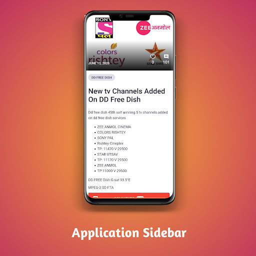 Free Dish screenshot 3