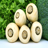 Parsnip For Health icon