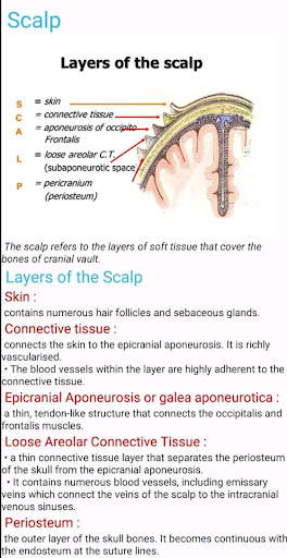 Human Anatomy E Theories screenshot 7