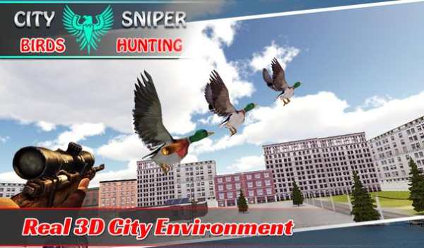 City Sniper Birds Hunting screenshot 2
