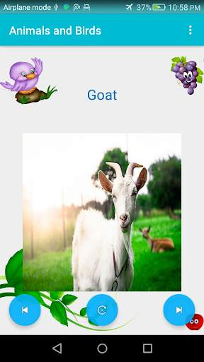 Name of Animals and Birds screenshot 4