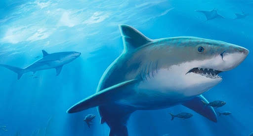 Shark Attack Hungry Wold screenshot 1