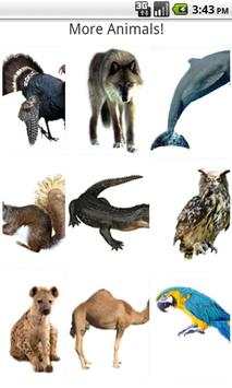 Real Animal Sounds For Kids 3 تصوير الشاشة