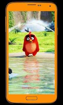 ANGRY BIRD HD WALLPAPER  ✔ NEW ✔ screenshot 3