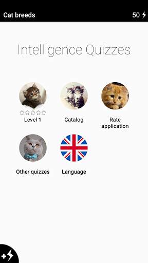 Cat breeds - Photo Quiz screenshot 2