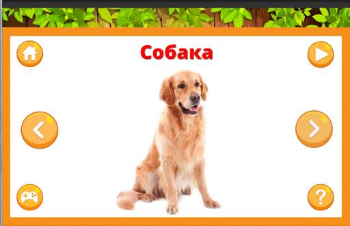Учим животные для малышей screenshot 4