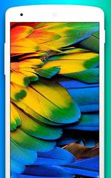 4k Cockatoo Parrot  Bird Live Video Wallpaper screenshot 4