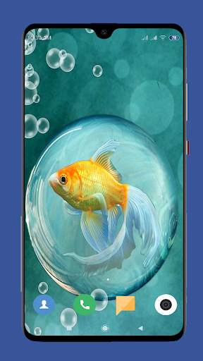 Betta Fish Wallpaper HD screenshot 13