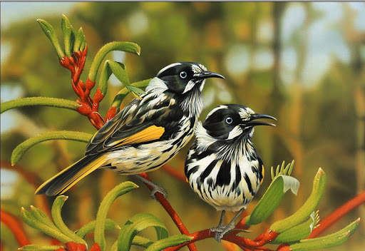 Birds Wallpapers HD 2020-2021 स्क्रीनशॉट 2